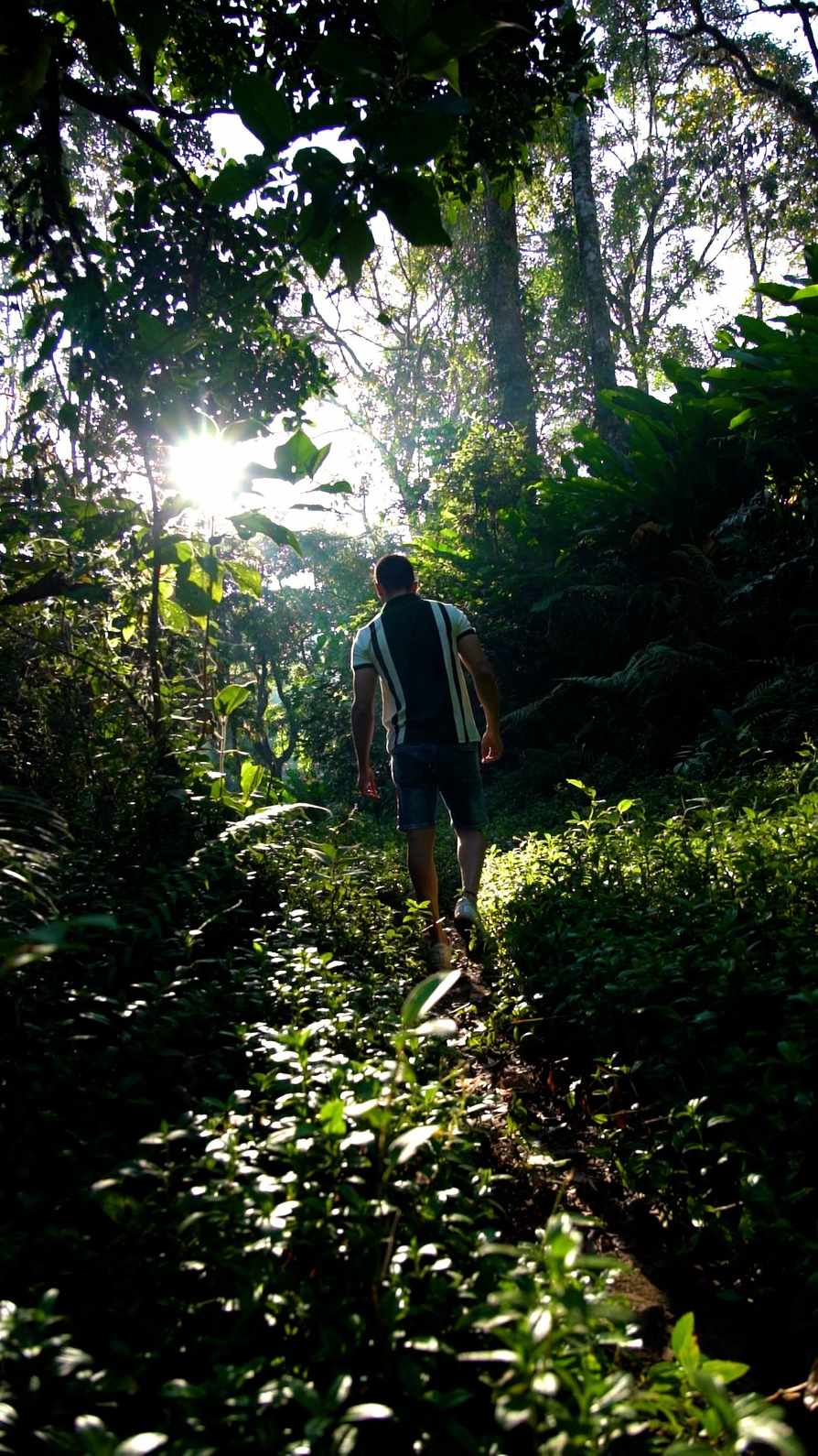 Nature Walk
